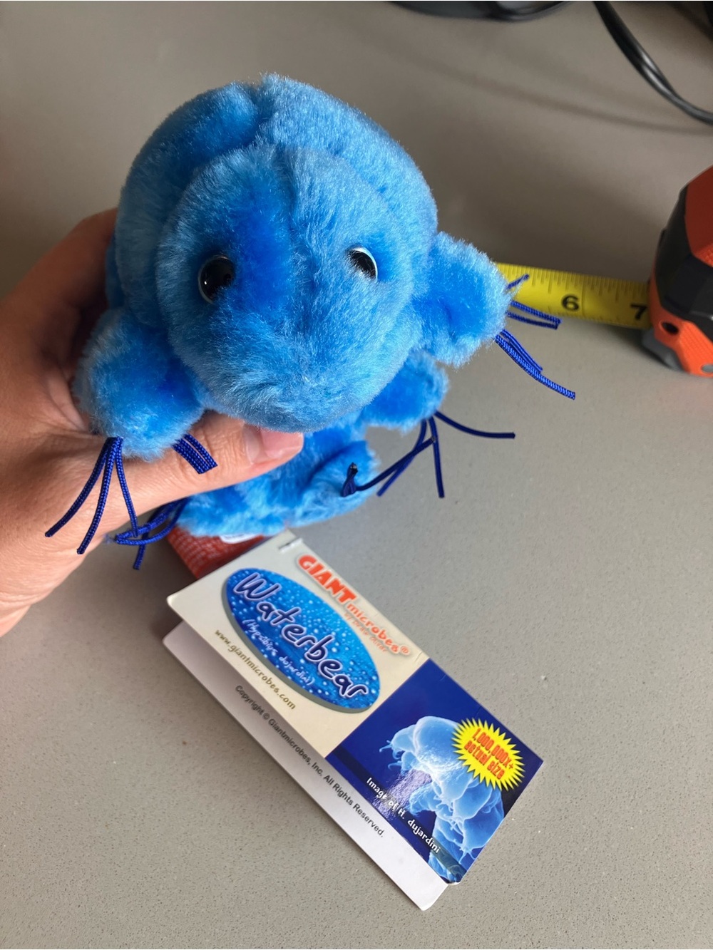 GiantMicrobes Waterbear - Picture 7 of 8